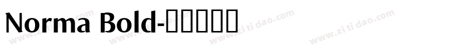 Norma Bold字体转换